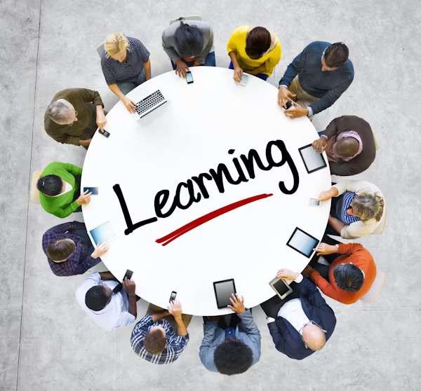 Strategic Industry Programs by IBM & IIT | BIT